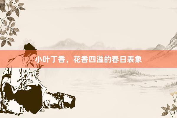 小叶丁香，花香四溢的春日表象