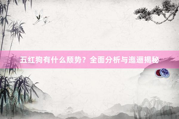 五红狗有什么颓势？全面分析与迤逦揭秘