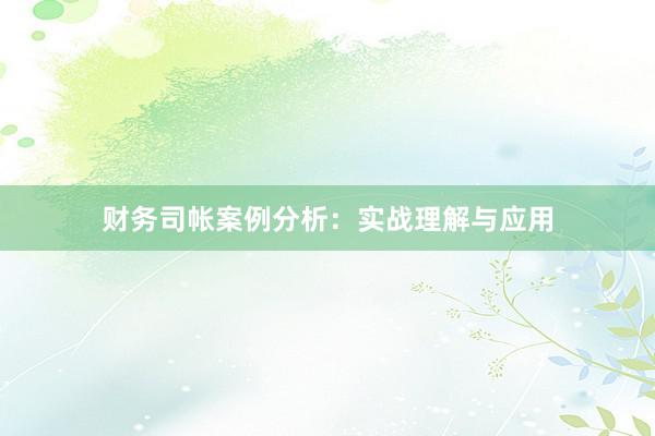 财务司帐案例分析：实战理解与应用