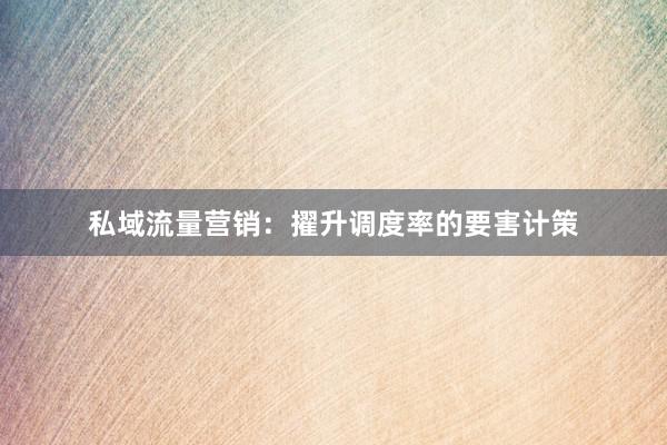 私域流量营销:擢升调度率的要害计策